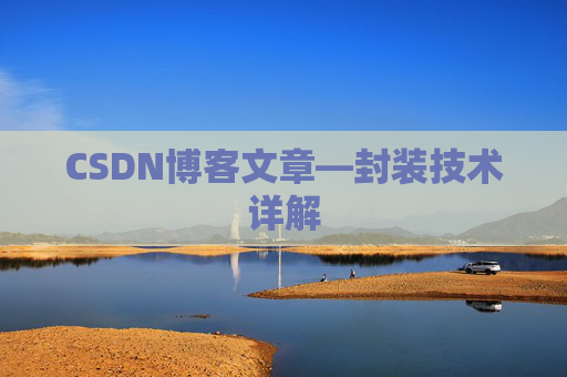 CSDN博客文章—封装技术详解